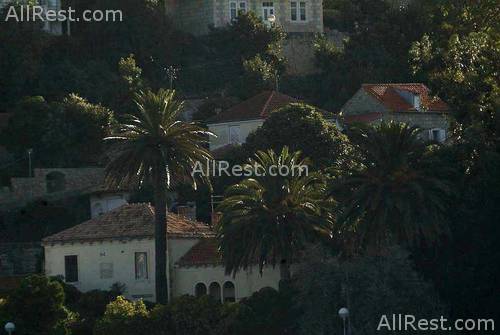 Villas Kolocep Hotel 7